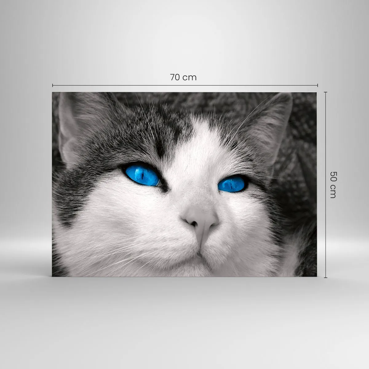 Quadro em vidro - Uma foto em preto e branco de um gato com olhos azuis intensos. - 70x50cm - Raridade de olhos azuis - Decoração de parede moderna para a sala de estar e quarto ARTTOR