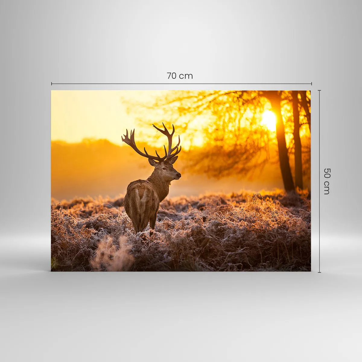Cuadro sobre vidrio - Impresiones sobre Vidrio - Ciervos bajo los rayos del sol naciente - 70x50cm - Rey del bosque de otoño - Decoración de pared moderna para salón y dormitorio ARTTOR