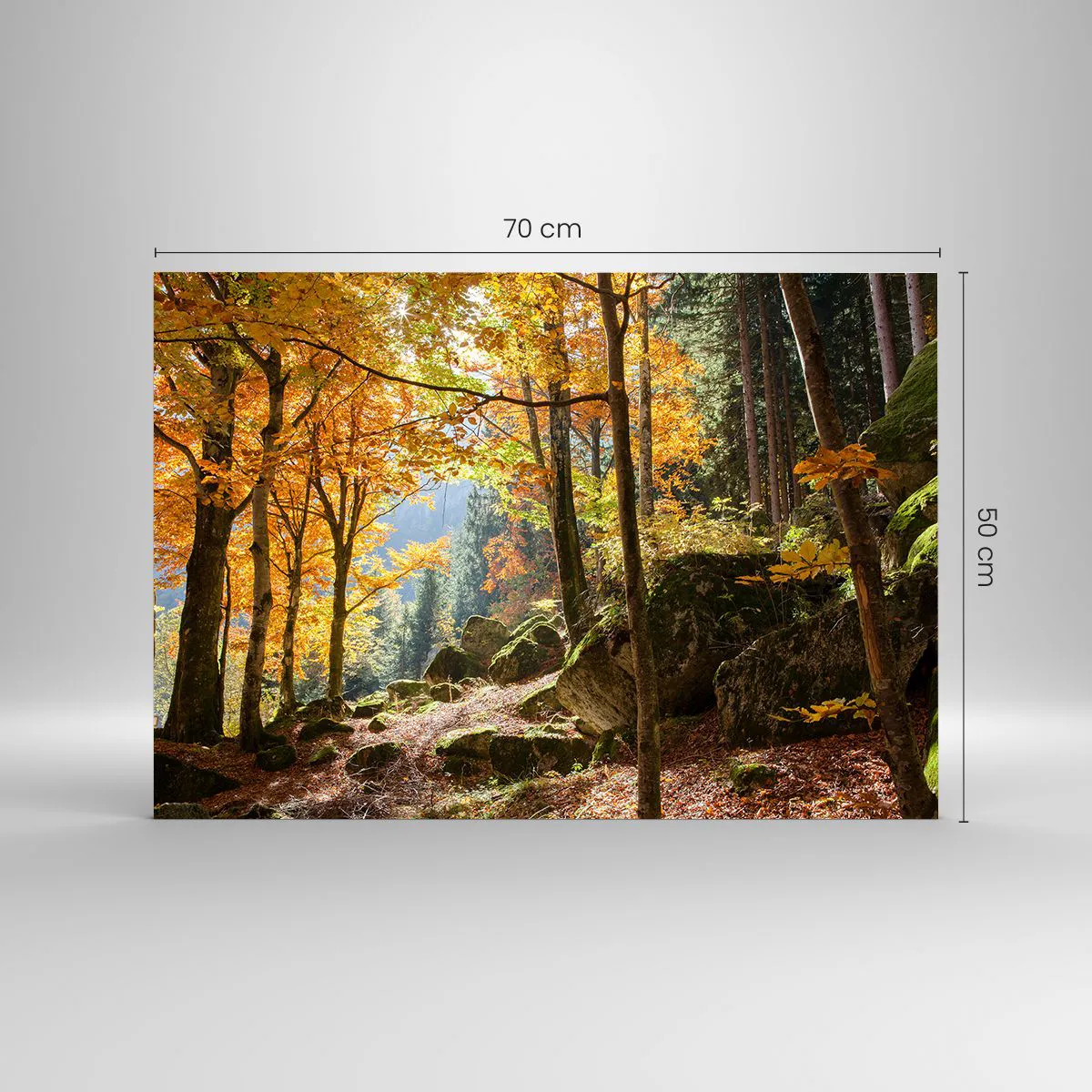 Obraz na skle - Jesenný les so slnečnými lúčmi a kameňmi - 70x50cm - Čas na odpočinok - Moderná nástenná dekorácia do obývacej izby a spálne ARTTOR