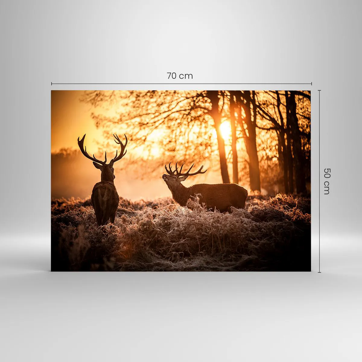 Tablou pe sticlă - Două căprioare într-o scenă de pădure la răsărit - 70x50cm - Visul unui vânător - Decorațiune modernă pentru perete pentru living și dormitor ARTTOR