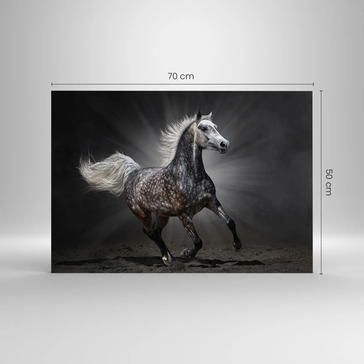 Glass picture - A galloping horse against a dark background with a lighting effect. - 70x50cm - Grey Is Beautiful - Modern wall decoration for the living room and bedroom ARTTOR