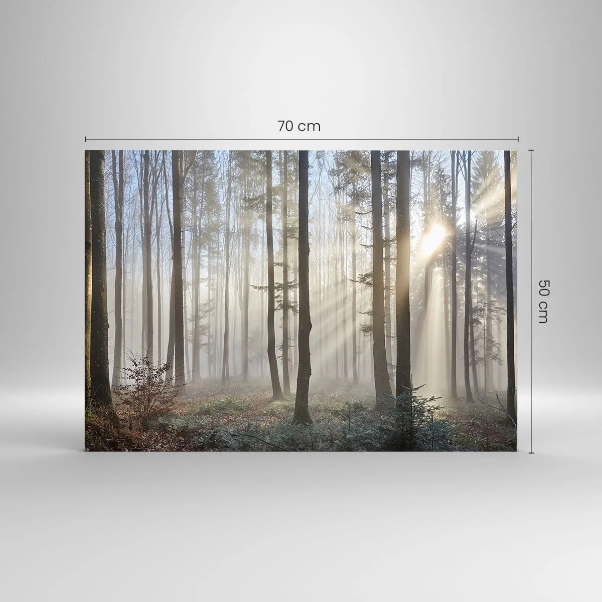 Quadro su vetro - I raggi del sole mattutino penetrano nella foresta nebbiosa - 70x50cm - Anche la nebbia si è svegliata - Decorazione murale moderna per soggiorno e camera da letto ARTTOR