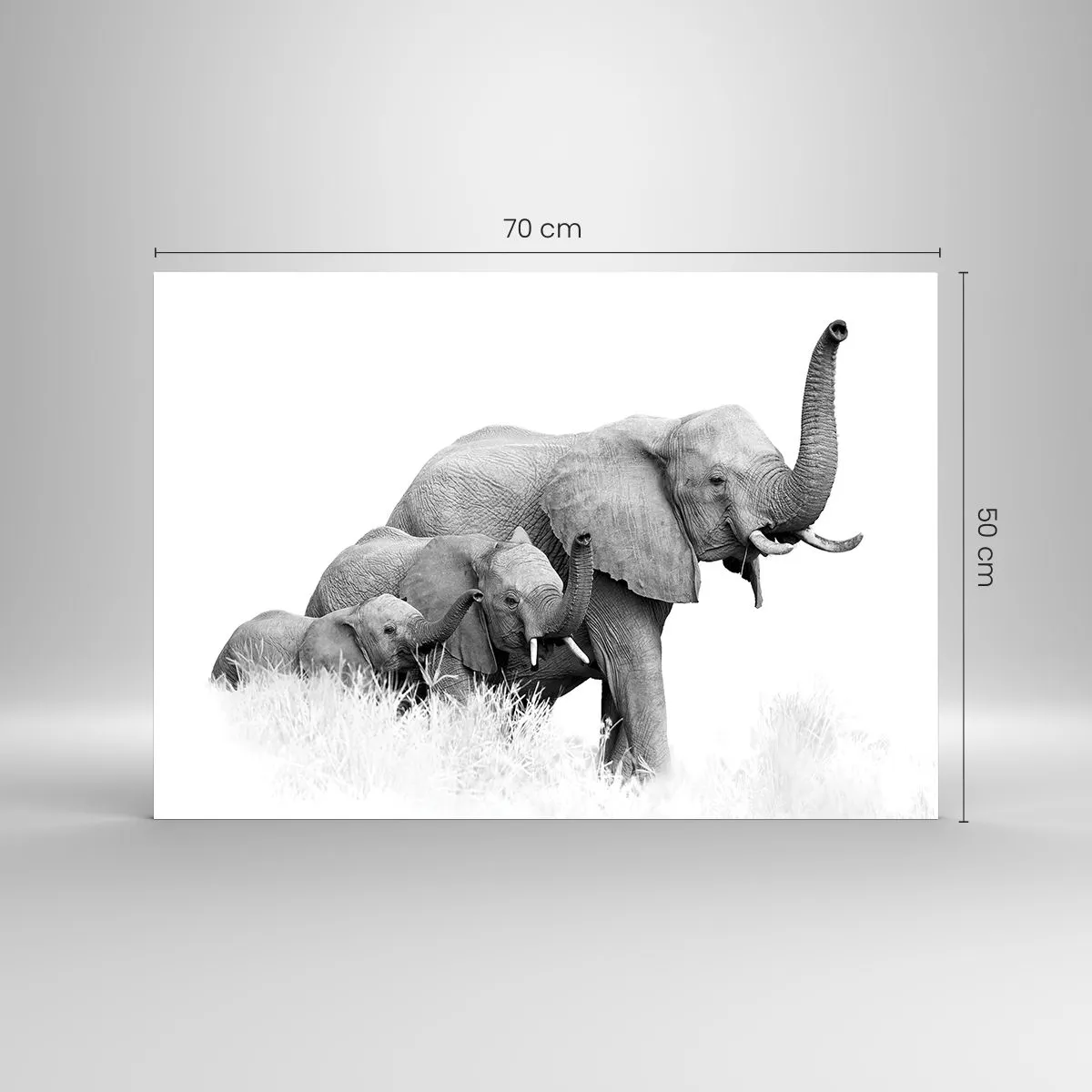 Impression sur verre - Image sur verre - Famille d'éléphants noirs et blancs dans la nature - 70x50cm - Un, deux, trois - Décoration murale moderne pour le salon et la chambre ARTTOR