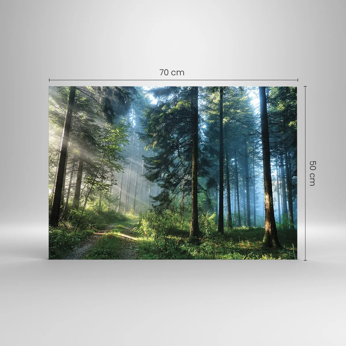 Glass picture - A forest path in the morning mist among tall trees - 70x50cm - Radiant at Dawn - Modern wall decoration for the living room and bedroom ARTTOR
