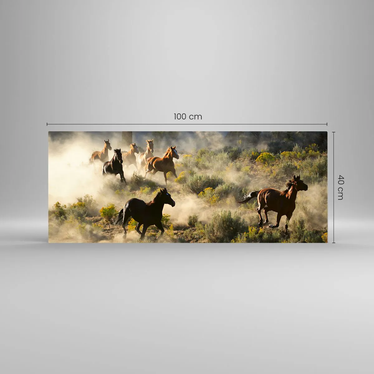 Glasbild - Bild auf glas - Rivalität – Freiheit oder männliche Stärke? - 100x40 cm