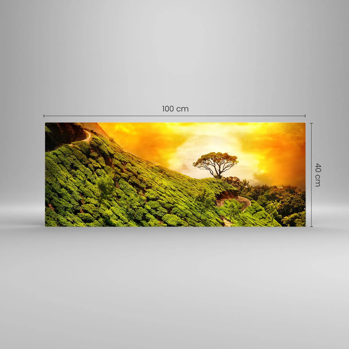 Impression sur verre - Image sur verre - Un chemin sinueux, une pente verte - 100x40 cm