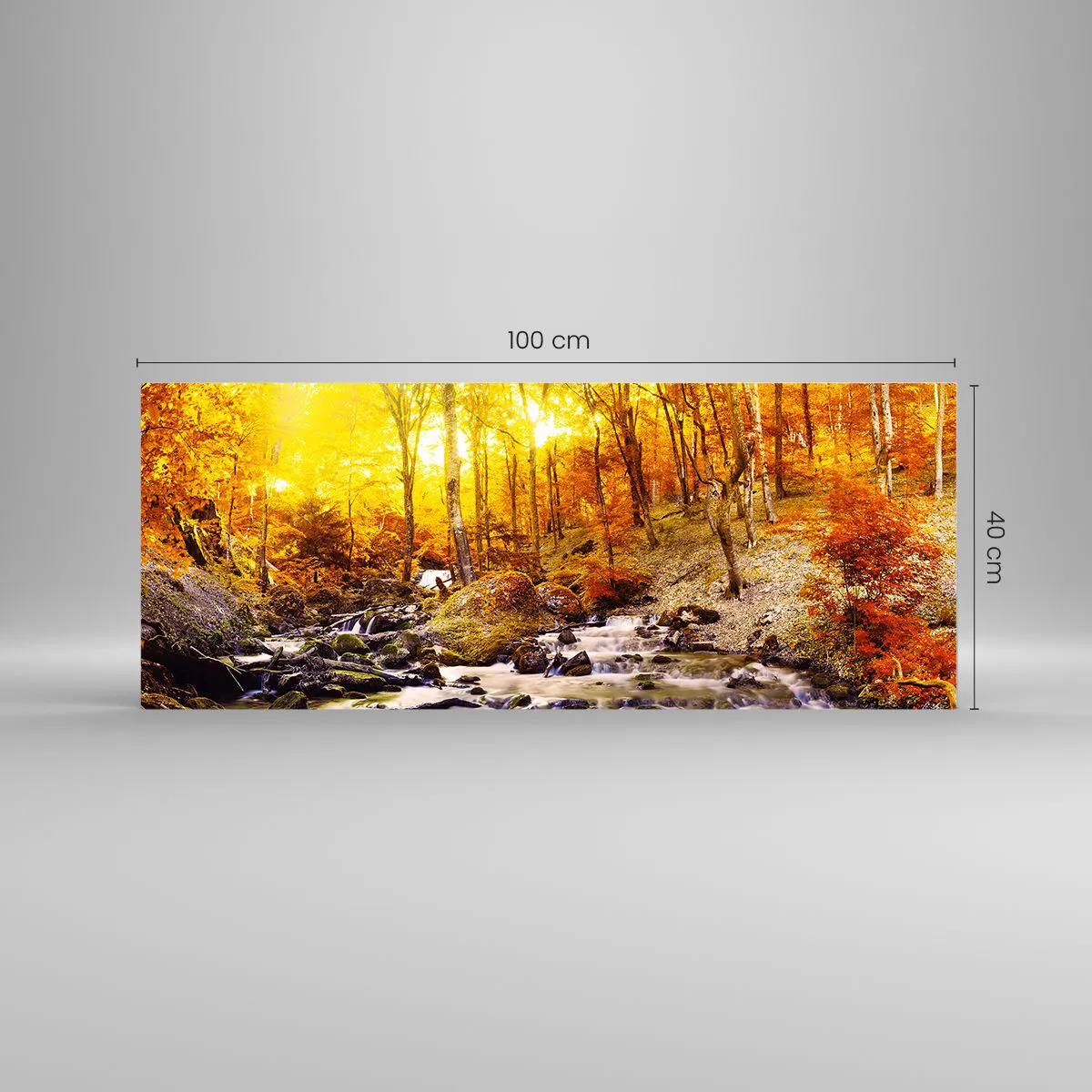 Cuadro sobre vidrio - Impresiones sobre Vidrio - Piedras bañadas en oro y platino - 100x40 cm