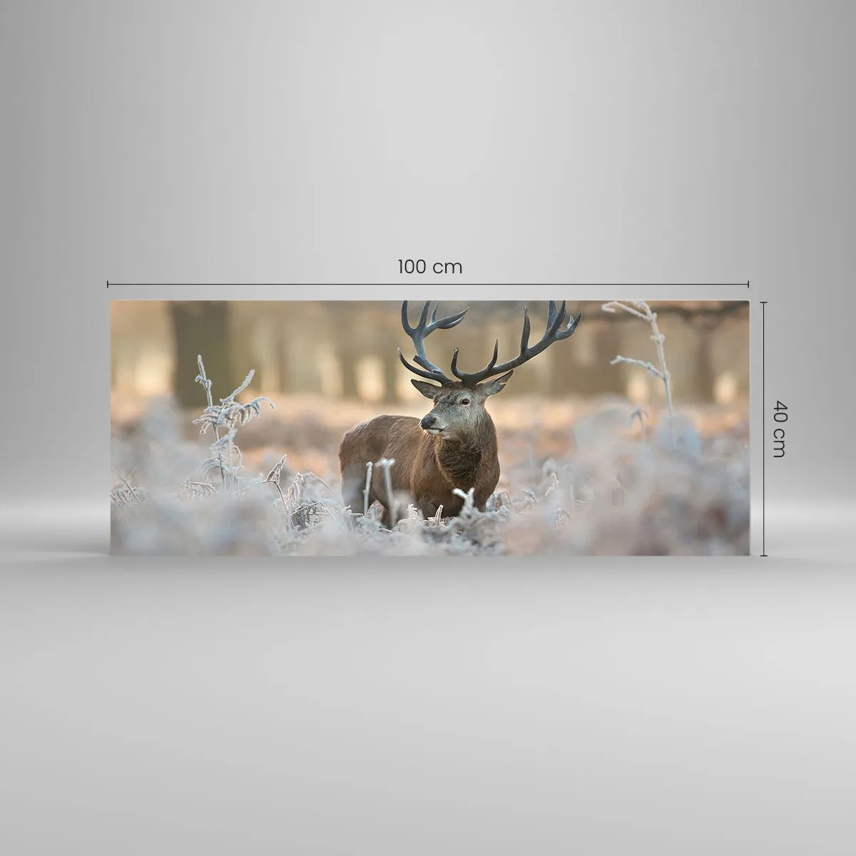 Obraz na szkle - Rześki poranek - 100x40 cm