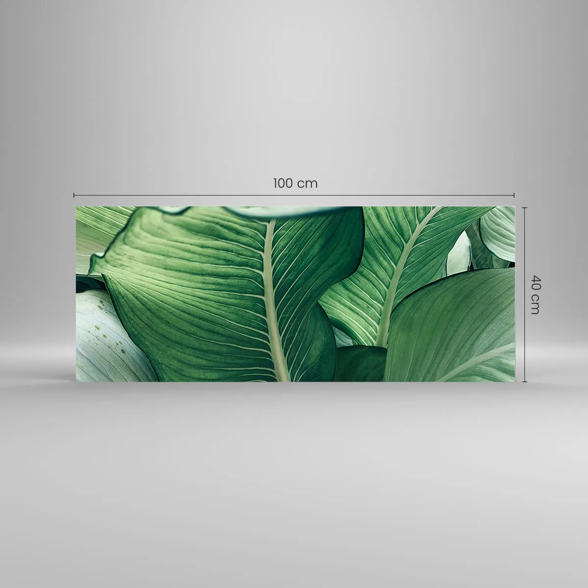 Impression sur verre - Image sur verre - Une vie intensément verte - 100x40 cm