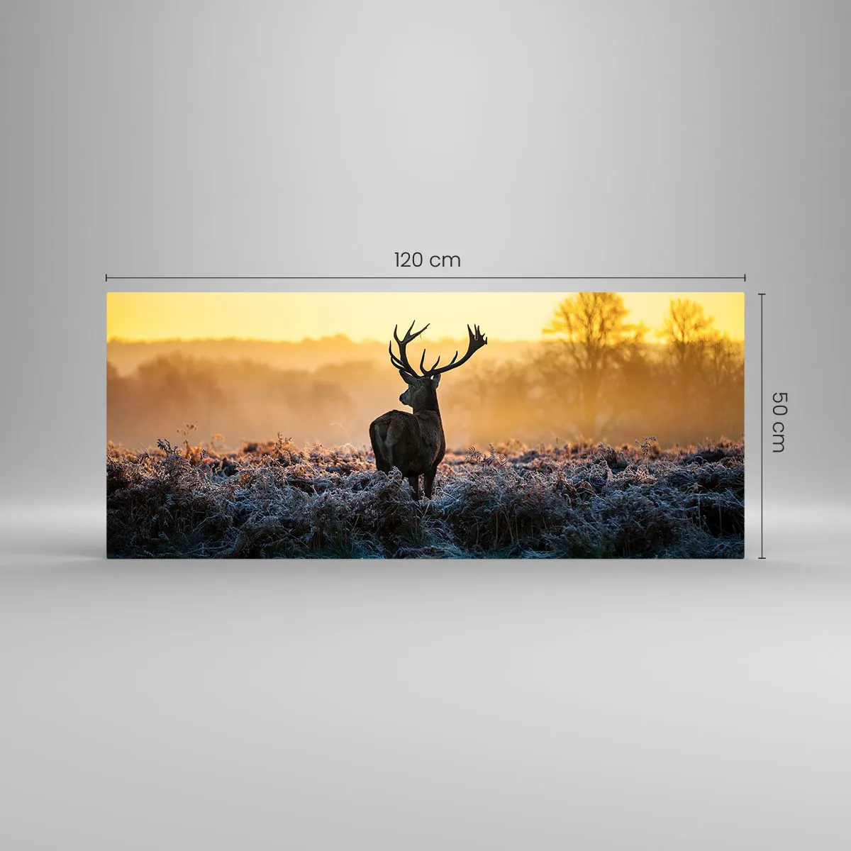 Impression sur verre - Image sur verre - Un cerf dans une clairière gelée au lever du soleil - 120x50cm - Couronné pour sa succession - Décoration murale moderne pour le salon et la chambre ARTTOR
