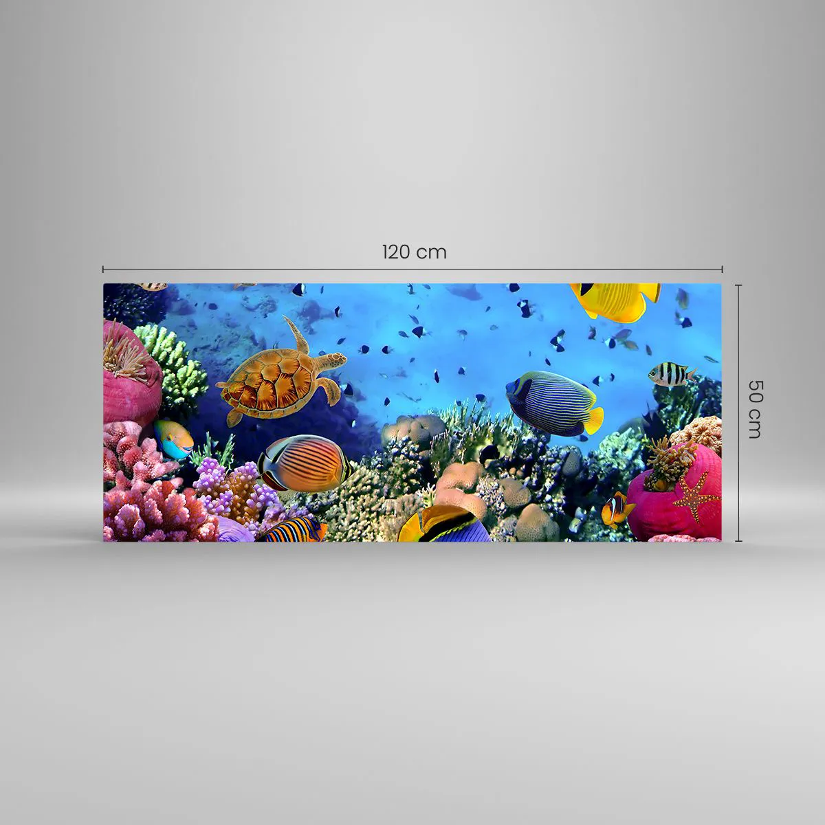Obraz na szkle - Rafa koralowa z kolorowymi rybami i żółwiem morską - 120x50cm - I co my wiemy o życiu... - Nowoczesna dekoracja ścienna do salonu i sypialni ARTTOR