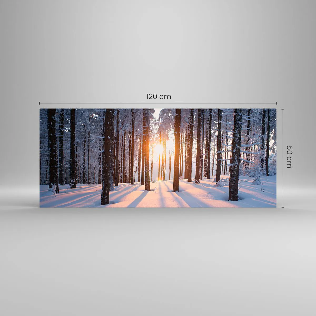 Cuadro sobre vidrio - Impresiones sobre Vidrio - Bosque invernal iluminado por los rayos del sol. - 120x50cm - Claramente en blanco y negro - Decoración de pared moderna para salón y dormitorio ARTTOR