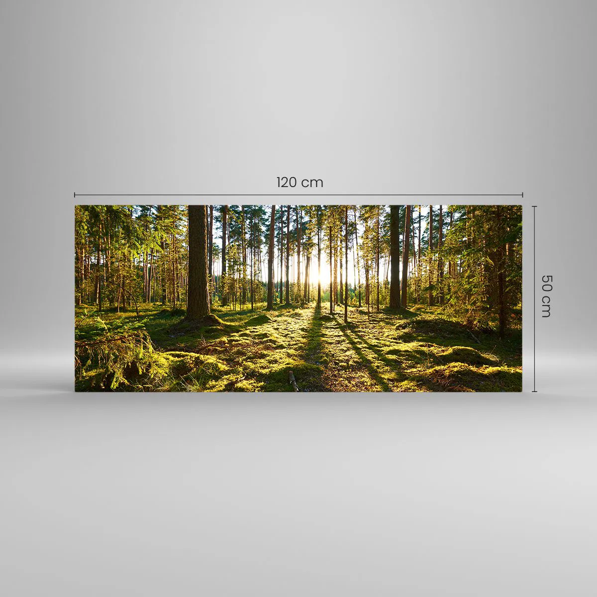 Impression sur verre - Image sur verre - Forêt verte illuminée par la lumière du soleil sur la mousse - 120x50cm - … Derrière les sept forêts - Décoration murale moderne pour le salon et la chambre ARTTOR