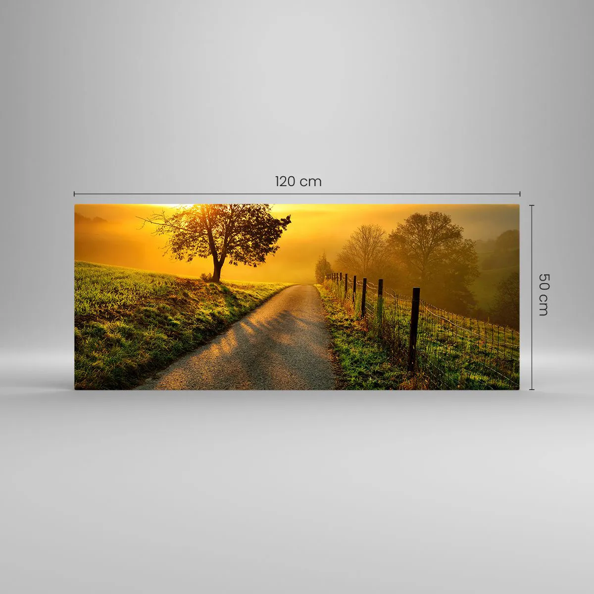 Obraz na skle - Medové odpoledne - 120x50 cm