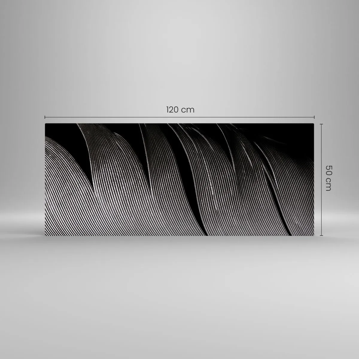 Glastavla - Bild på glas - Fjäder - en underbar konstruktion - 120x50 cm