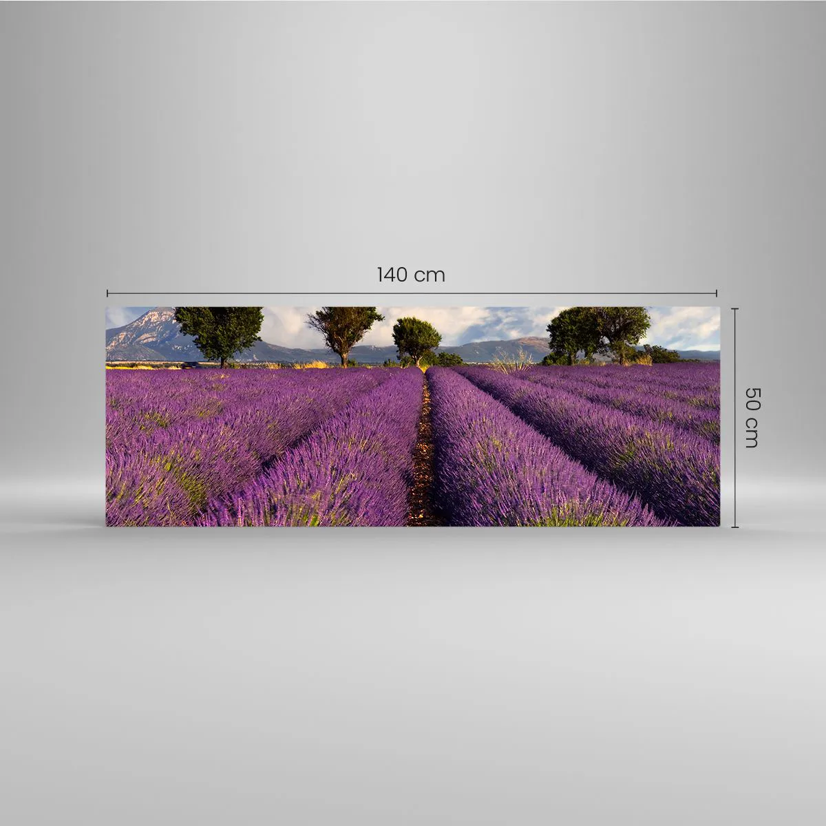 Üveg kép - Levendula mezők - 140x50 cm