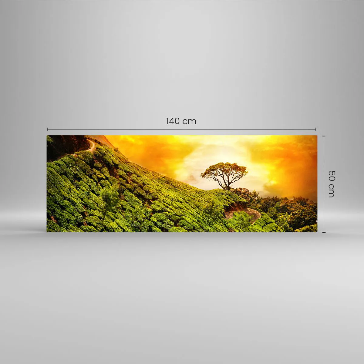 Impression sur verre - Image sur verre - Collines verdoyantes de plantations de thé au coucher du soleil - 140x50cm - Un chemin sinueux, une pente verte - Décoration murale moderne pour le salon et la chambre ARTTOR