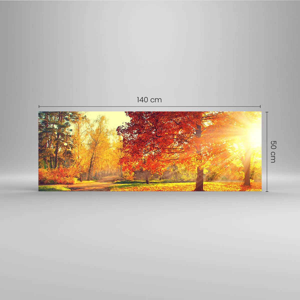 Impression sur verre - Image sur verre - Parc d'automne illuminé par la lumière du soleil - 140x50cm - Le roux est beau - Décoration murale moderne pour le salon et la chambre ARTTOR