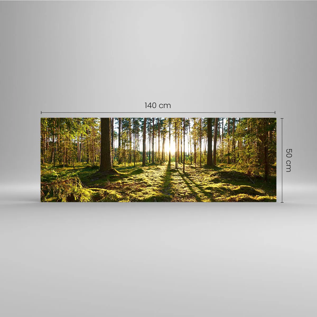 Impression sur verre - Image sur verre - Forêt verte illuminée par la lumière du soleil sur la mousse - 140x50cm - … Derrière les sept forêts - Décoration murale moderne pour le salon et la chambre ARTTOR