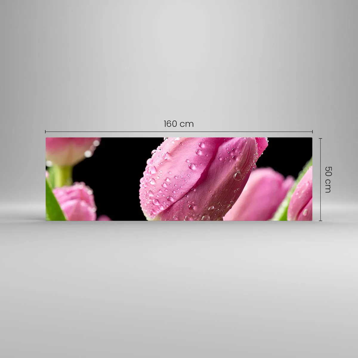 Glasbild - Bild auf glas - Rosa Tulpe mit Wassertropfen auf schwarzem Hintergrund - 160x50cm - Lila Traum im Tau - Moderne Wanddekoration für Wohnzimmer und Schlafzimmer ARTTOR