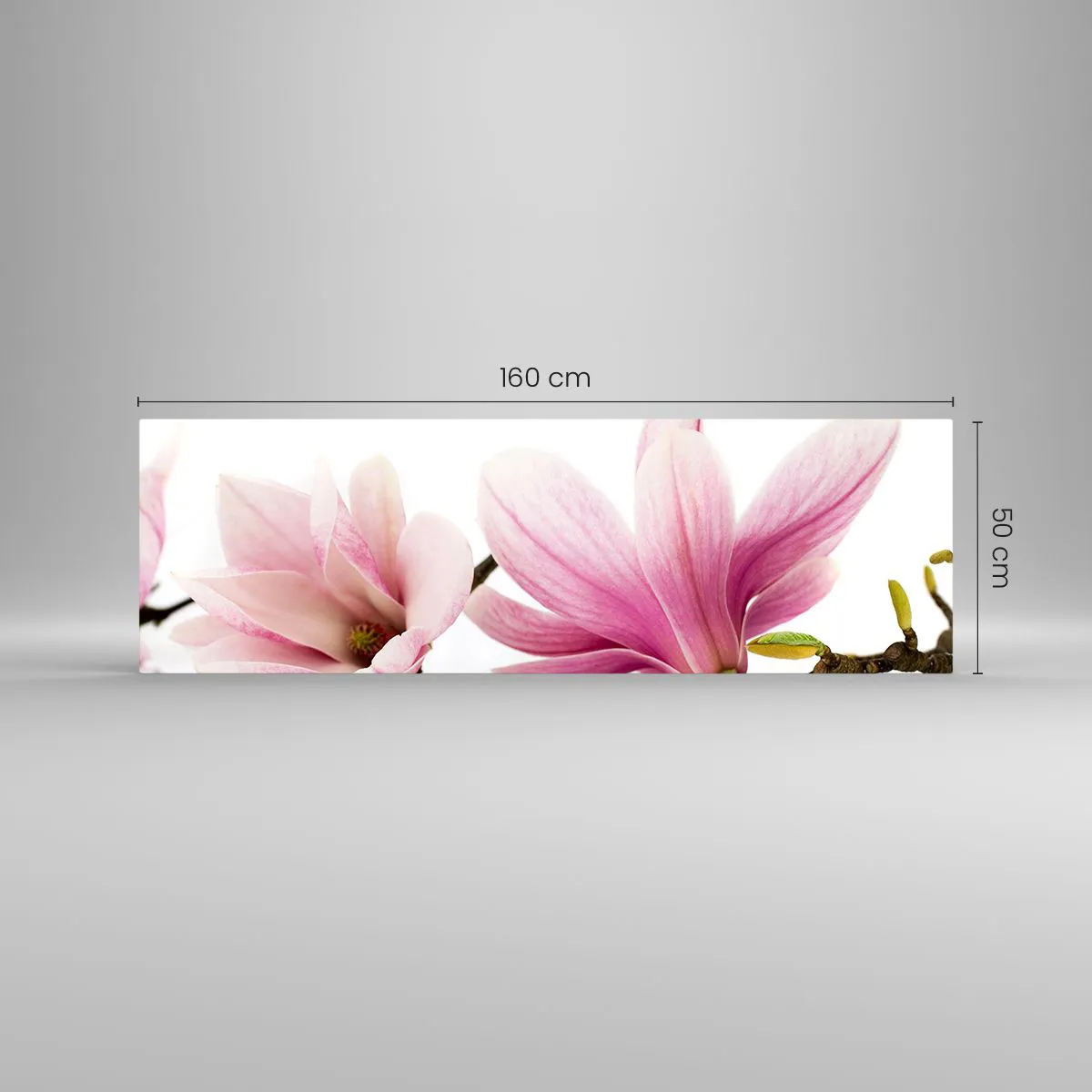 Glass picture - Delicate Like a Spring Breeze - 160x50 cm