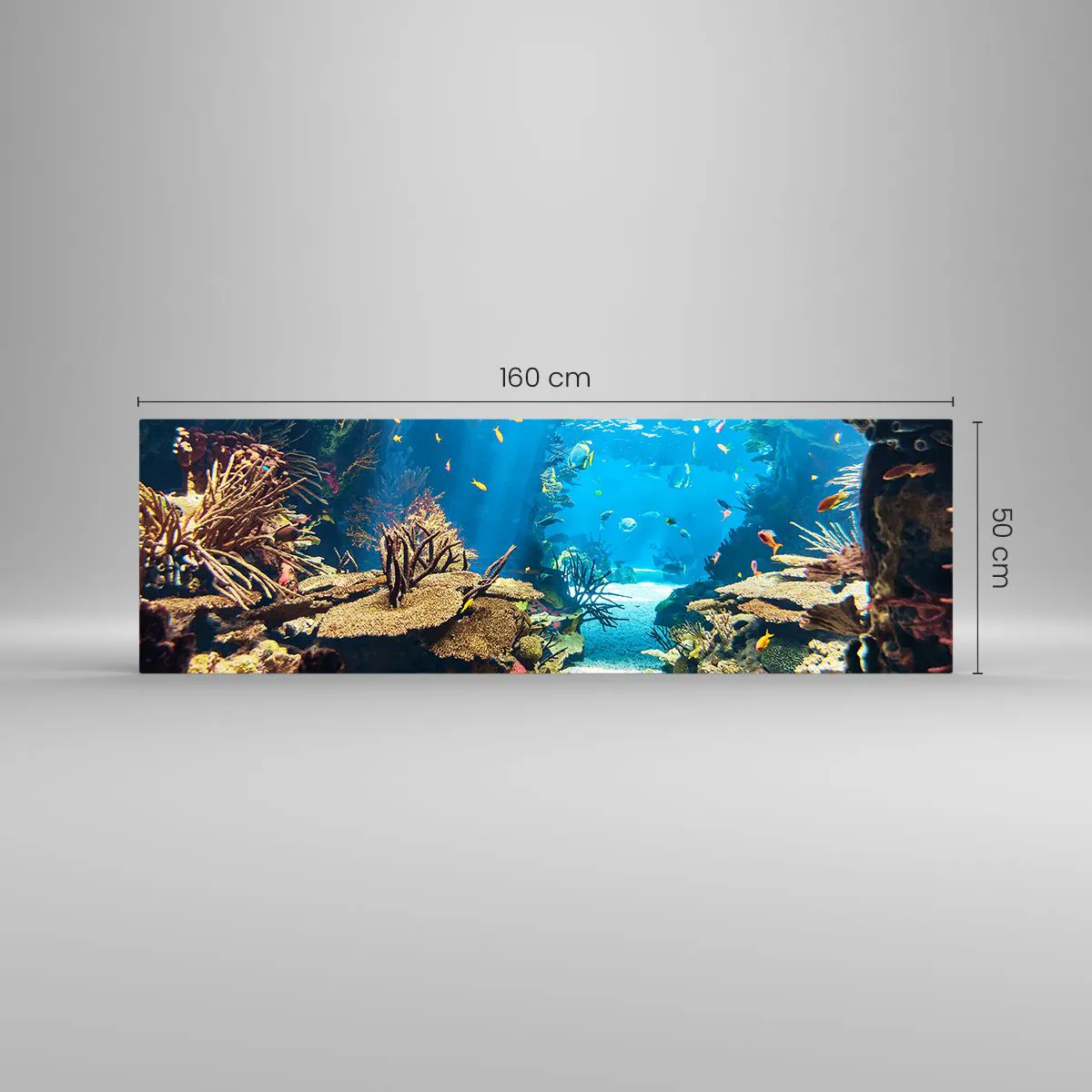 Obraz na skle - Ani vo sne ťa to nenapadlo - 160x50 cm