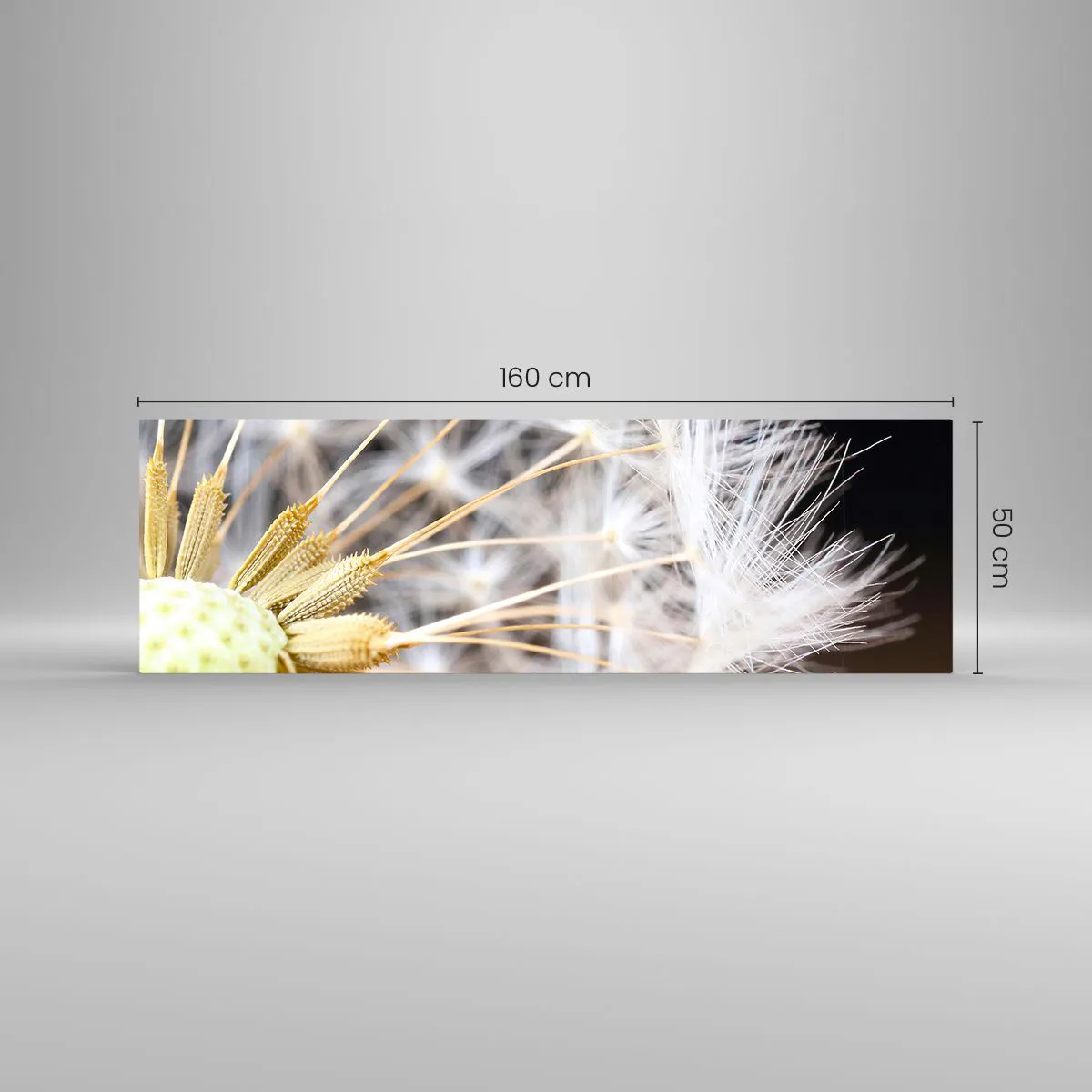 Glastavla - Bild på glas - Klar att lyfta - 160x50 cm