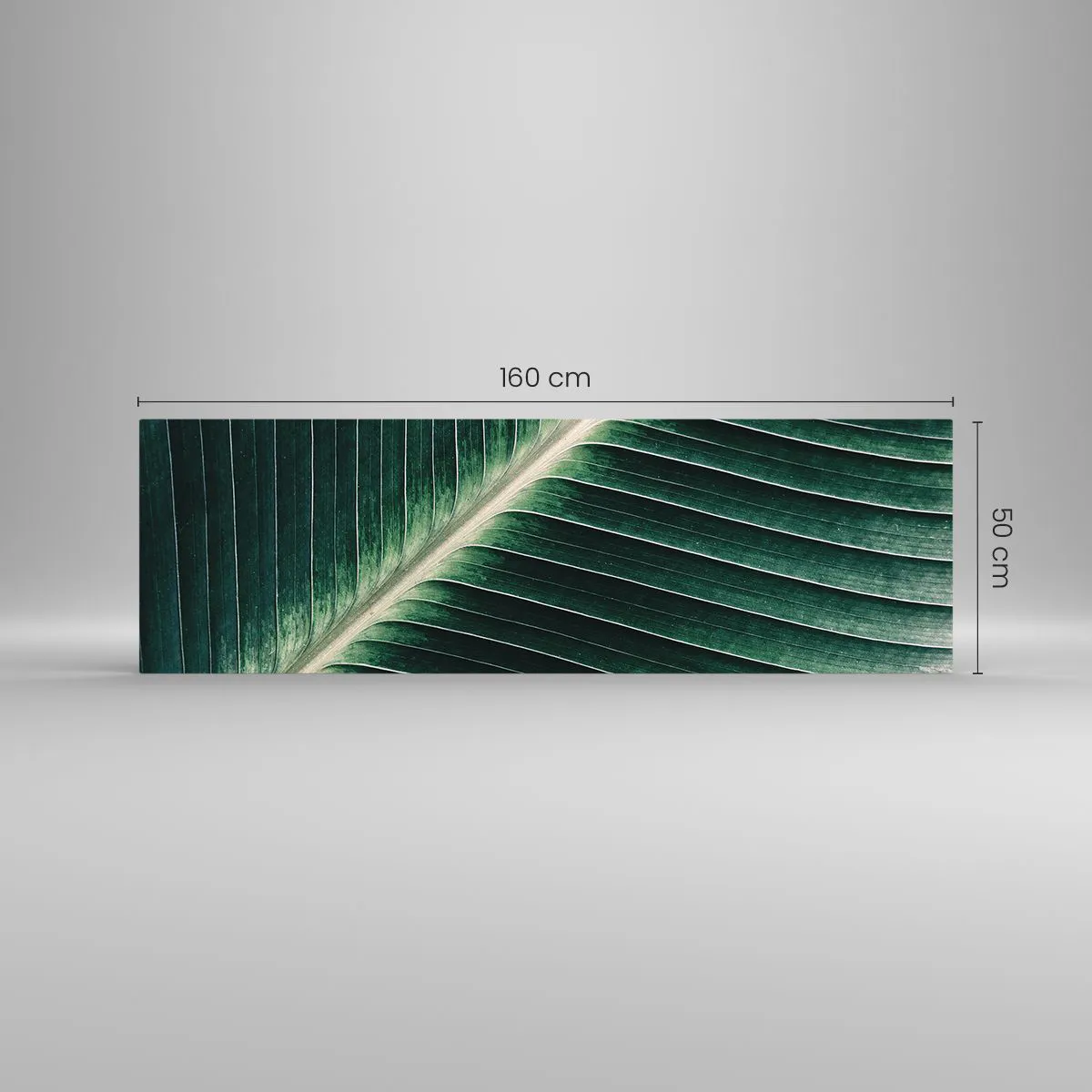 Glass picture - Rhythm of Nature - 160x50 cm