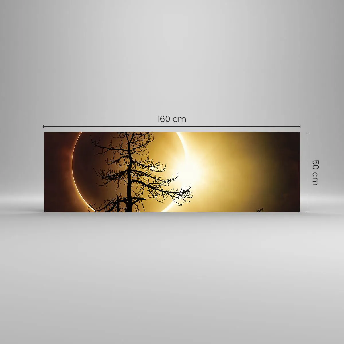 Cuadro sobre vidrio - Impresiones sobre Vidrio - Eclipse solar con una silueta de árbol en primer plano - 160x50cm - Eclipse total - Decoración de pared moderna para salón y dormitorio ARTTOR