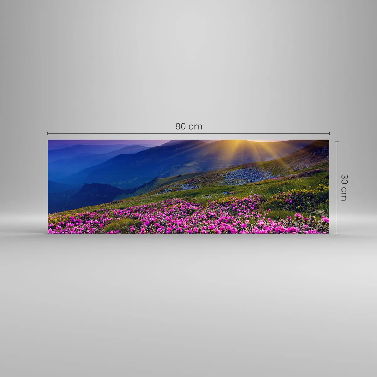 Quadro su vetro - Odore di mugo e profumo di erbe - 90x30 cm