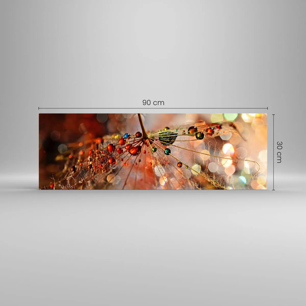 Billede på glas - Trådet på et edderkoppespind - 90x30 cm