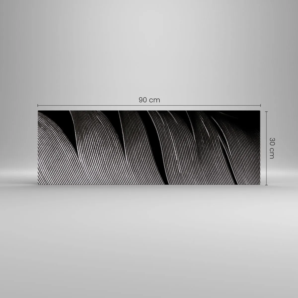 Glastavla - Bild på glas - Fjäder - en underbar konstruktion - 90x30 cm