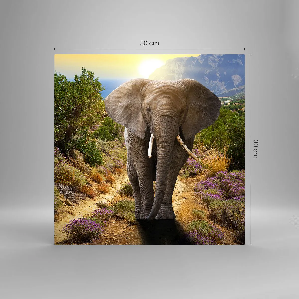 Cuadro sobre vidrio - Impresiones sobre Vidrio - Este es el aspecto del Edén - 30x30 cm