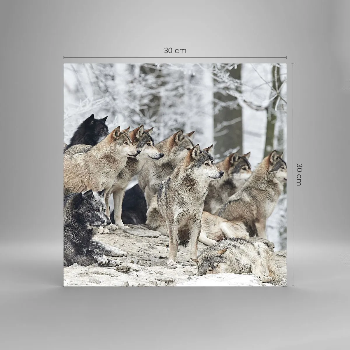 Schilderen op glas - Familie en vrienden - 30x30 cm