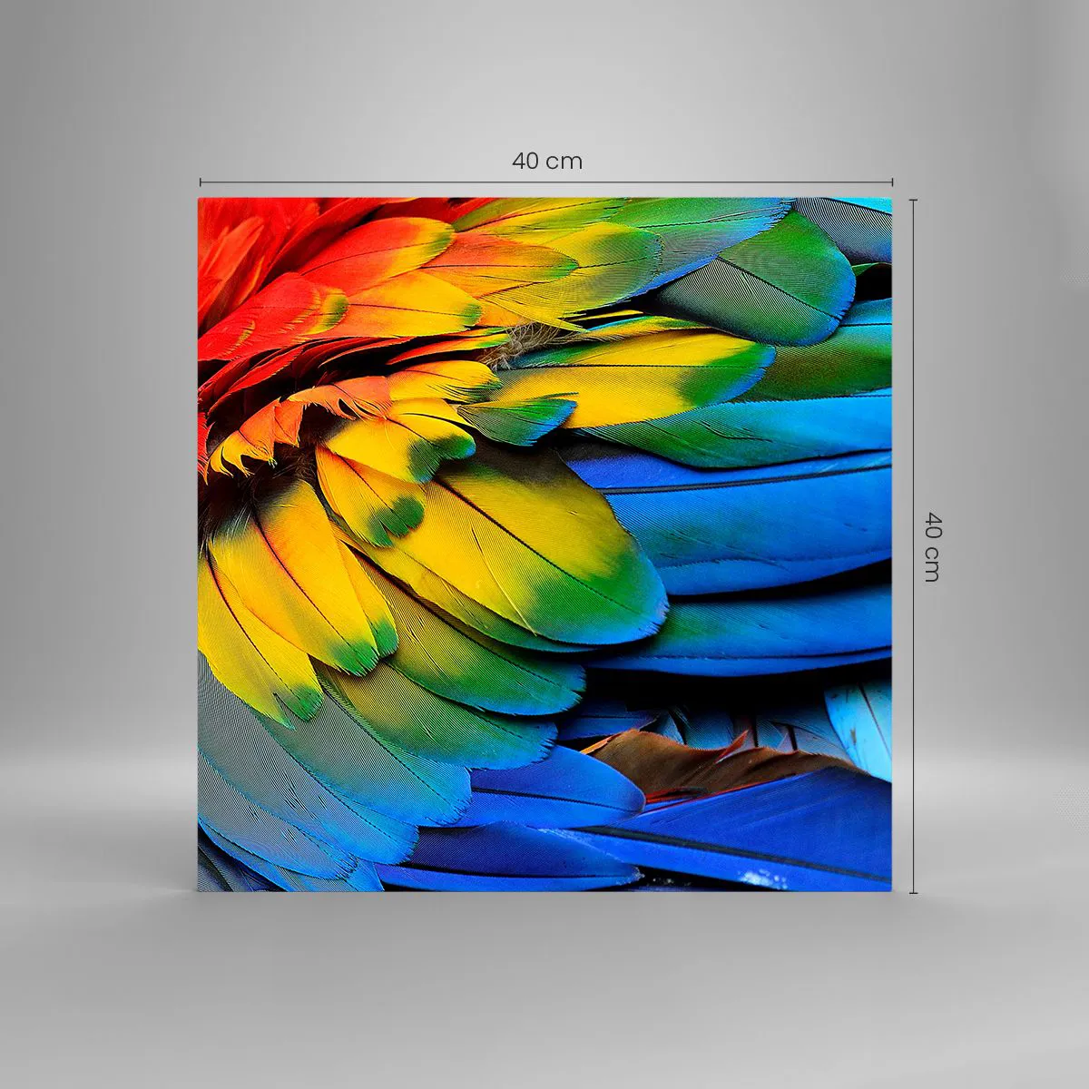 Quadro em vidro - Ave do paraíso - 40x40 cm