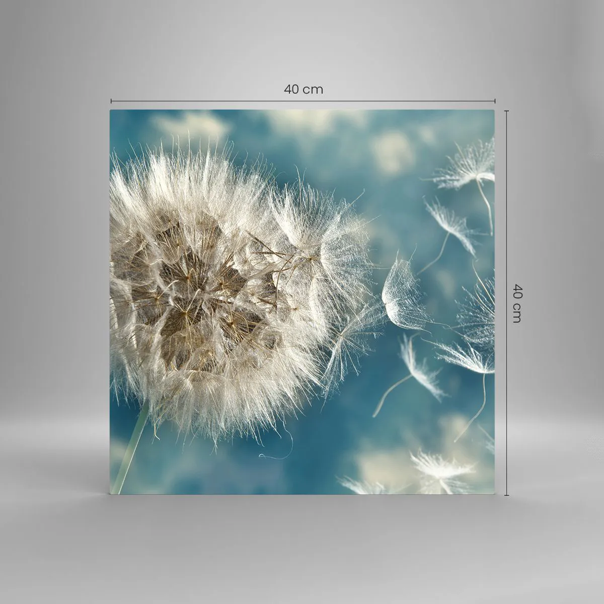 Obraz na szkle - Oddech anioła - 40x40 cm