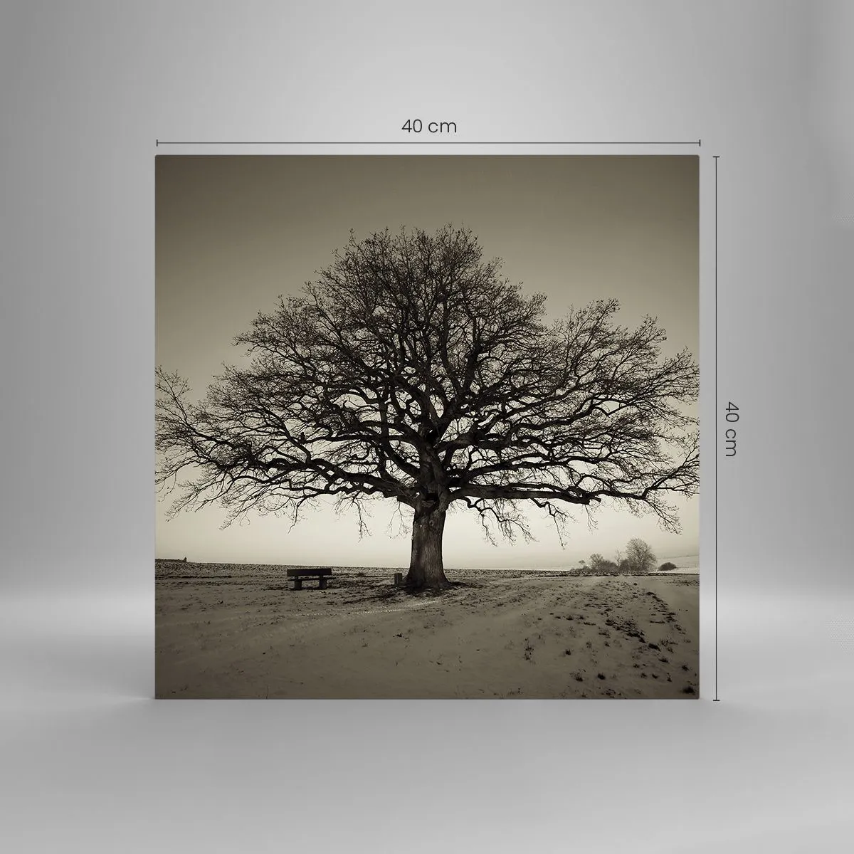 Impression sur verre - Image sur verre - D'ici à l'éternité - 40x40 cm