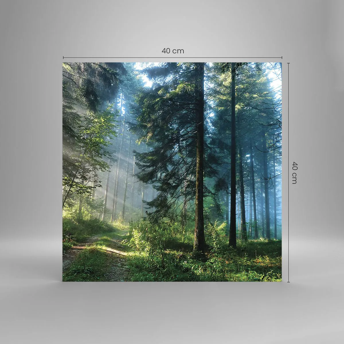 Obraz na szkle - Rozpromieniony o poranku - 40x40 cm