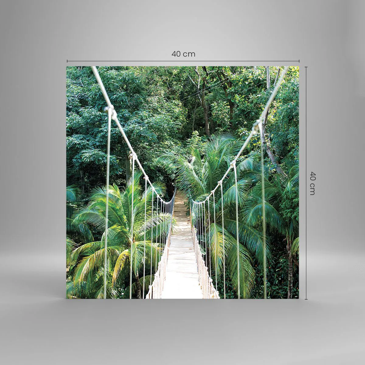 Impression sur verre - Image sur verre - Welcome to the jungle! - 40x40 cm
