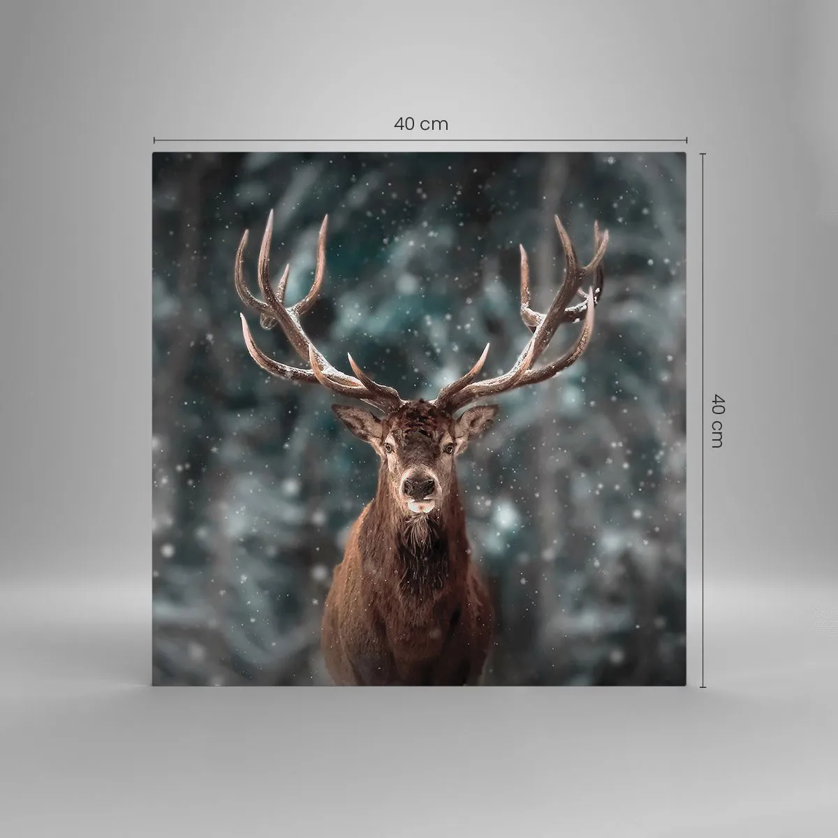 Obraz na skle - Skutočný kráľ lesa - 40x40 cm