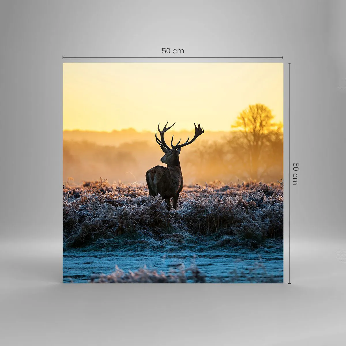 Billede på glas - Kronet på sine godser - 50x50 cm