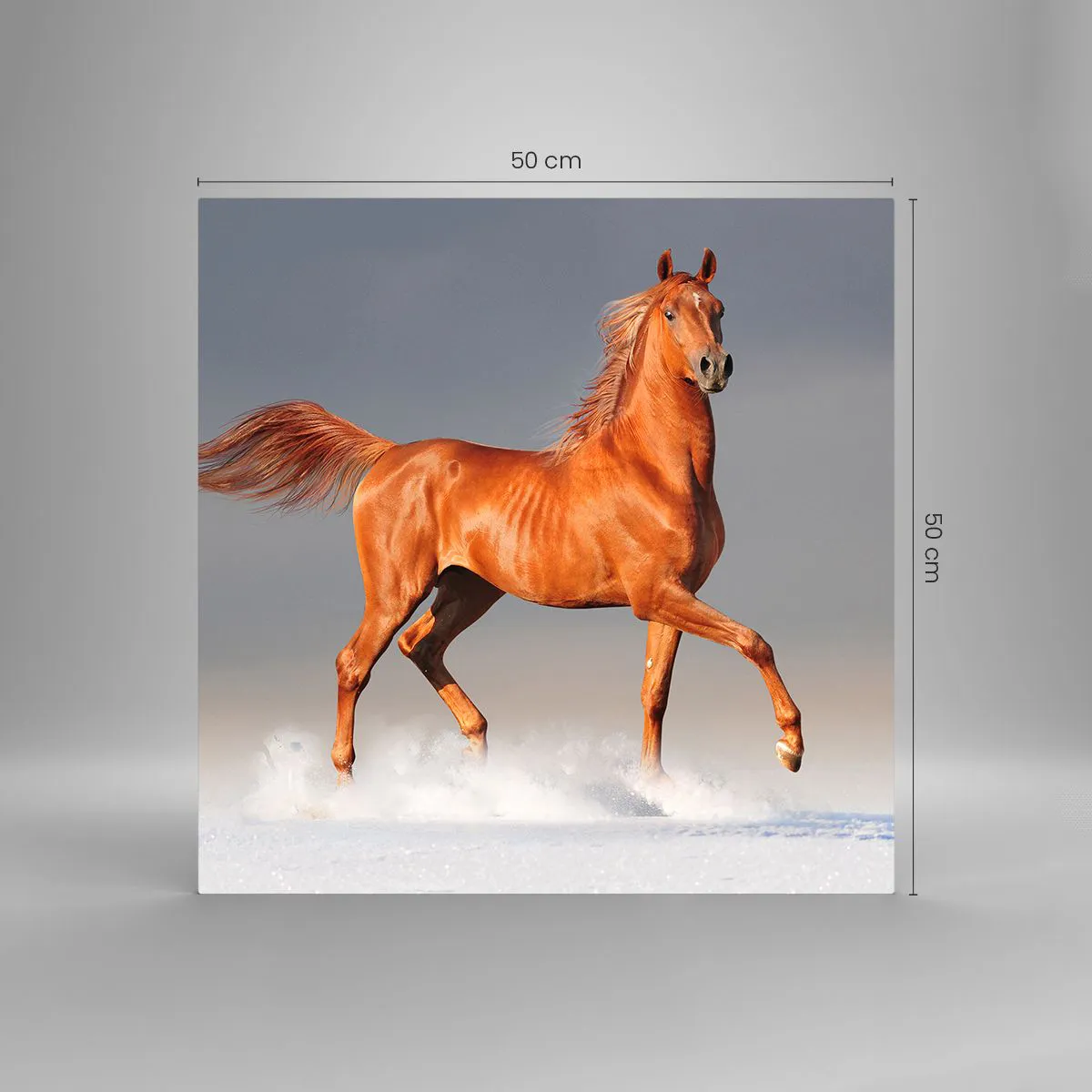 Üveg kép - Táncoló szépség - 50x50 cm