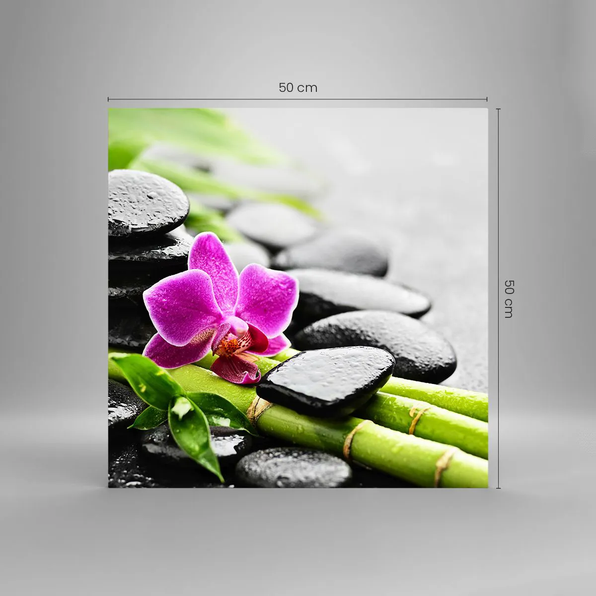 Impression sur verre - Image sur verre - Dans un équilibre de calme - 50x50 cm