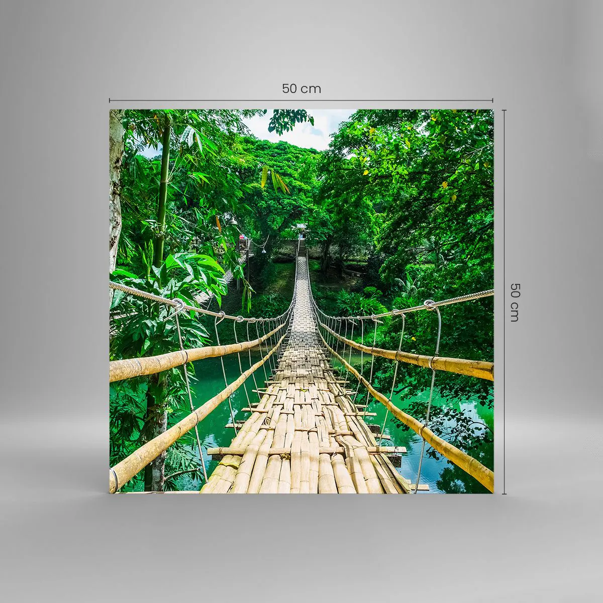 Üveg kép - Majomhíd a zöld felett - 50x50 cm