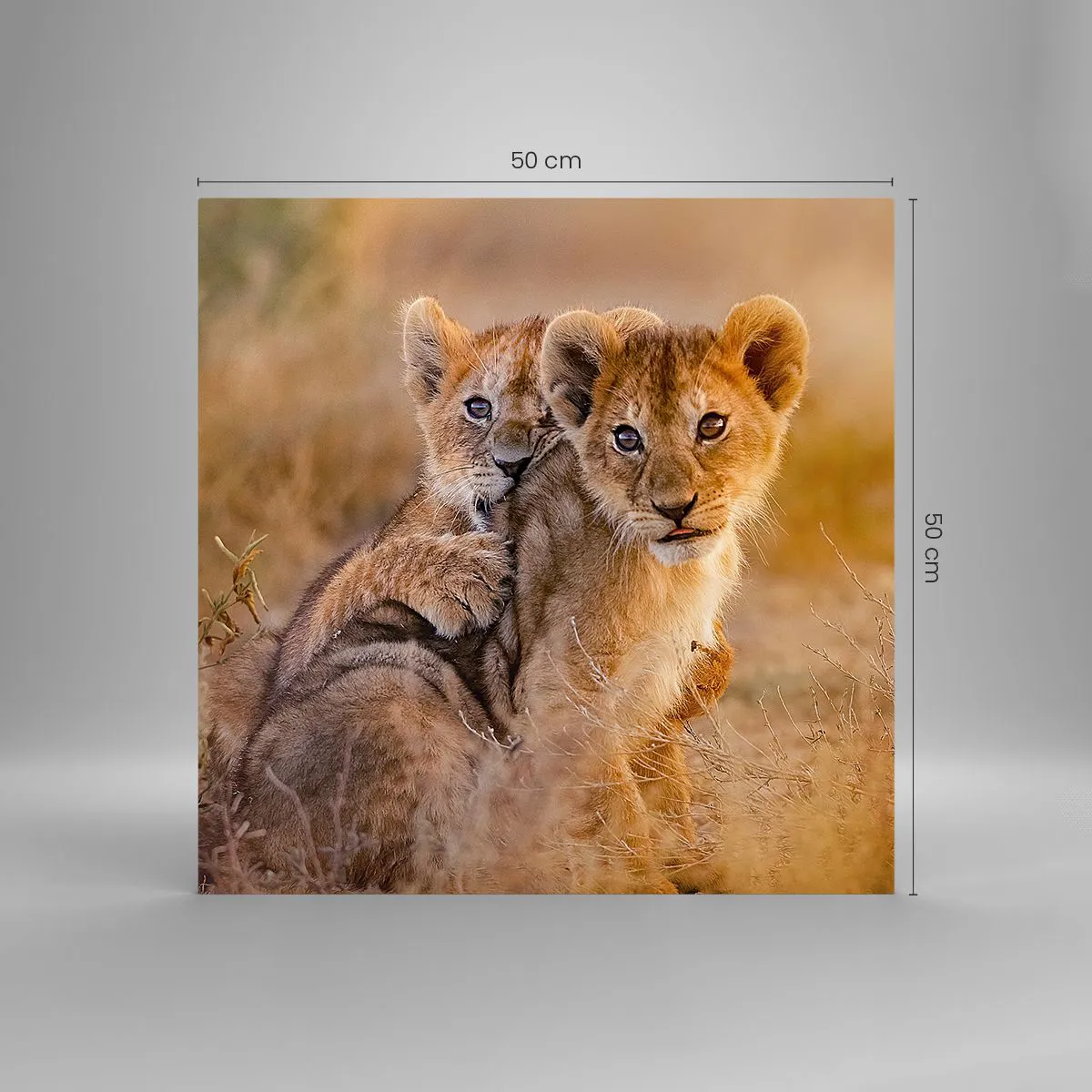 Üveg kép - Ne zavarni! Szórakozunk - 50x50 cm