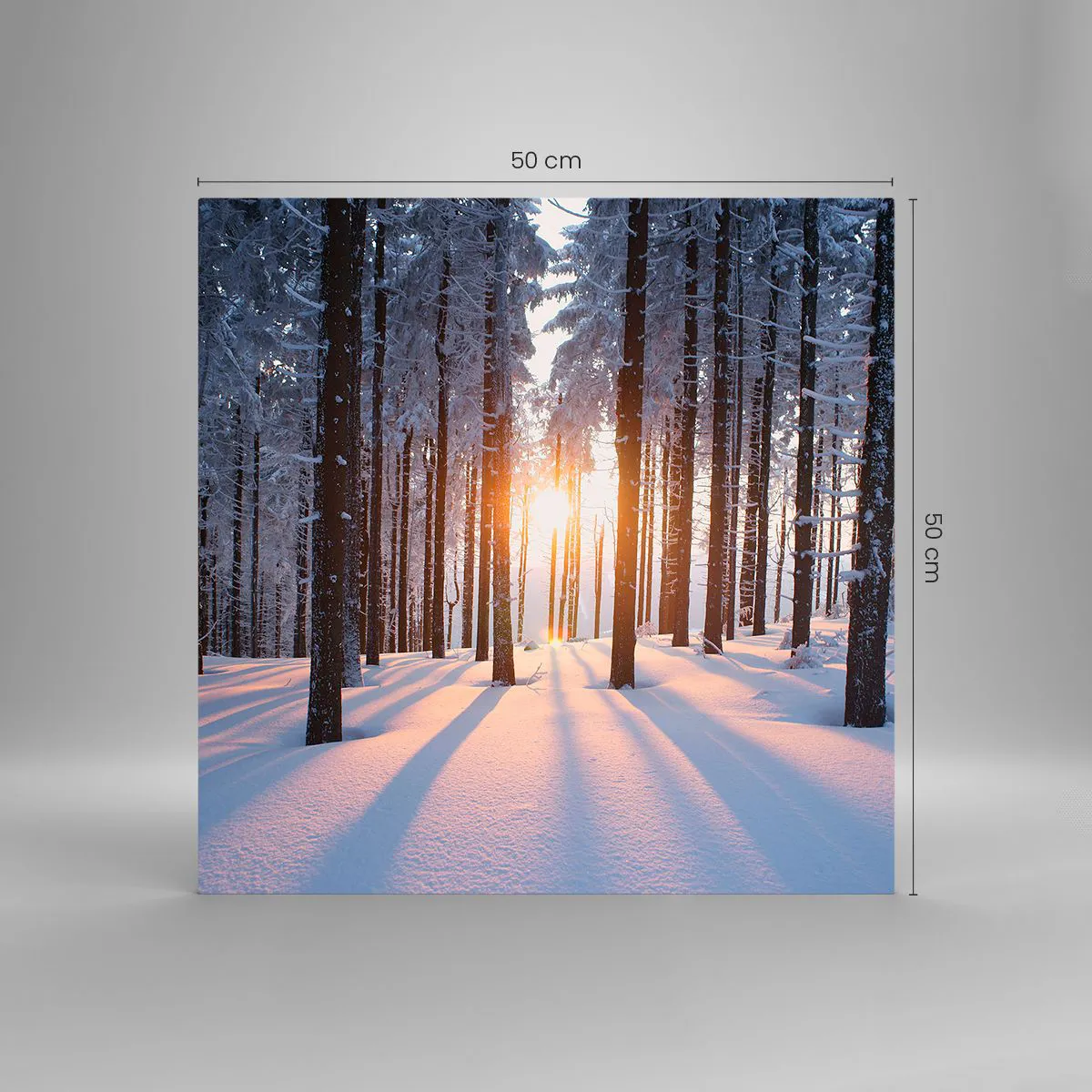 Tablou pe sticlă - În mod clar în alb și negru - 50x50 cm