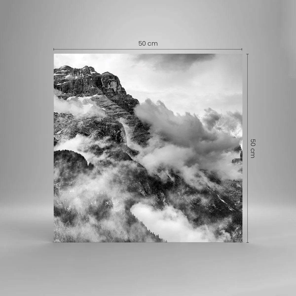 Quadro su vetro - Belli e terribili - 50x50 cm