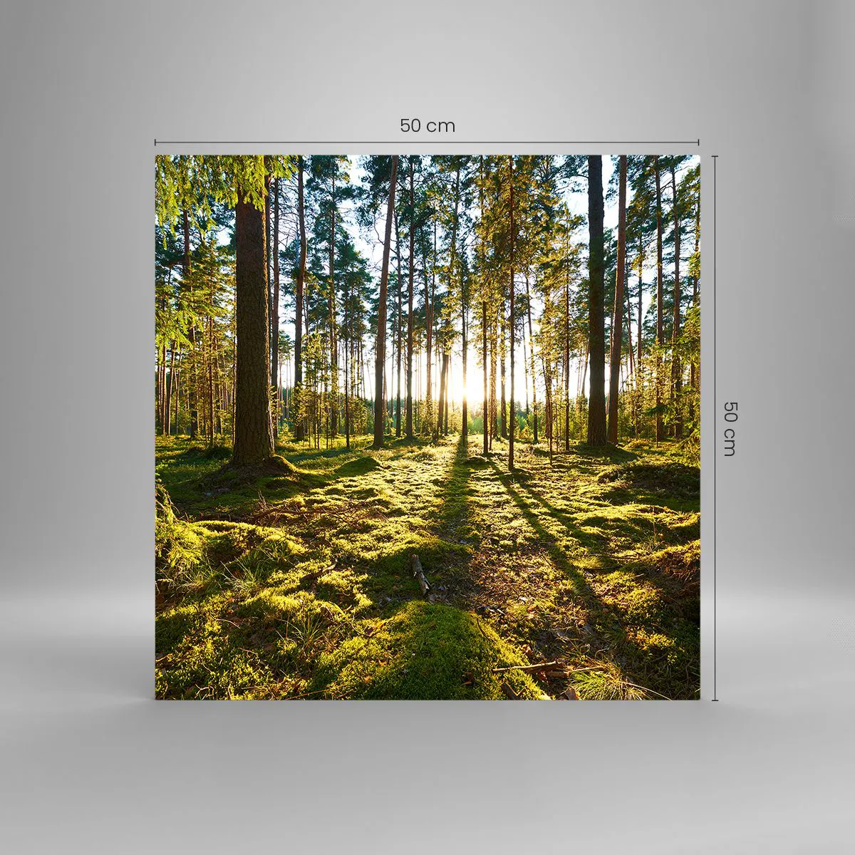 Impression sur verre - Image sur verre - … Derrière les sept forêts - 50x50 cm