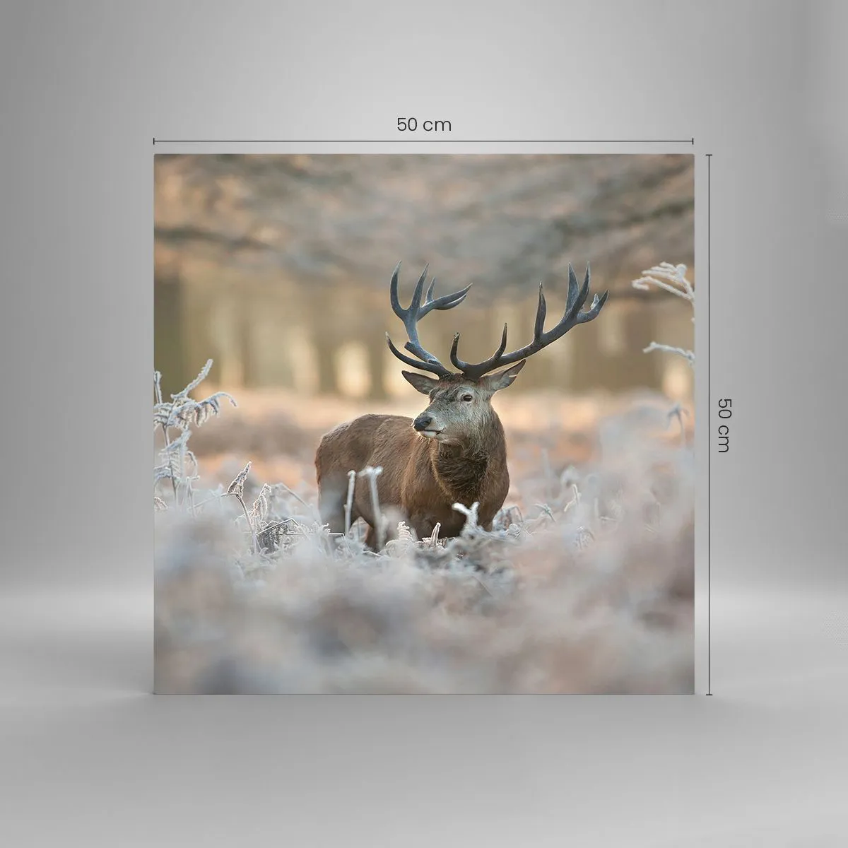 Obraz na szkle - Rześki poranek - 50x50 cm