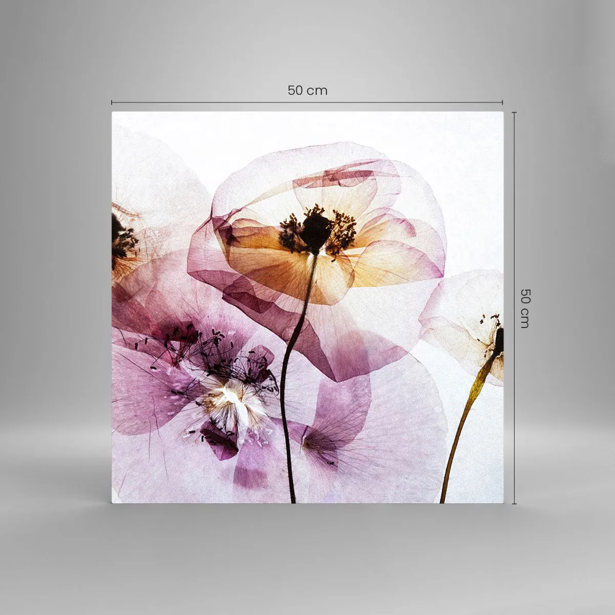 Impression sur verre - Image sur verre - Corps de fleurs transparente - 50x50 cm